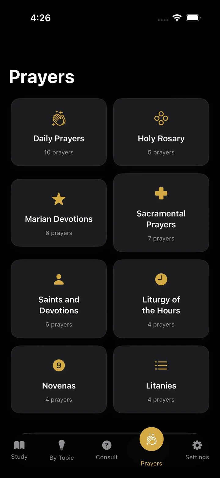 Senda Católica Screenshot 8