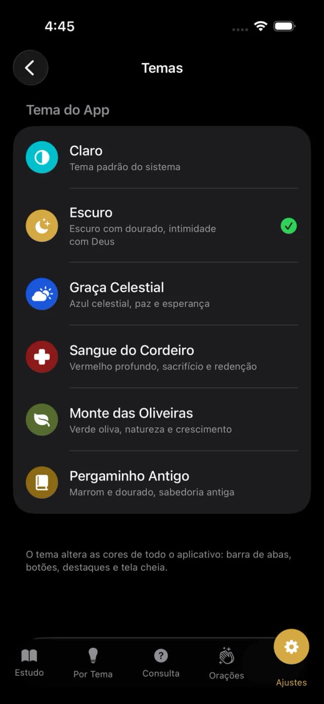 Senda Católica Screenshot 9